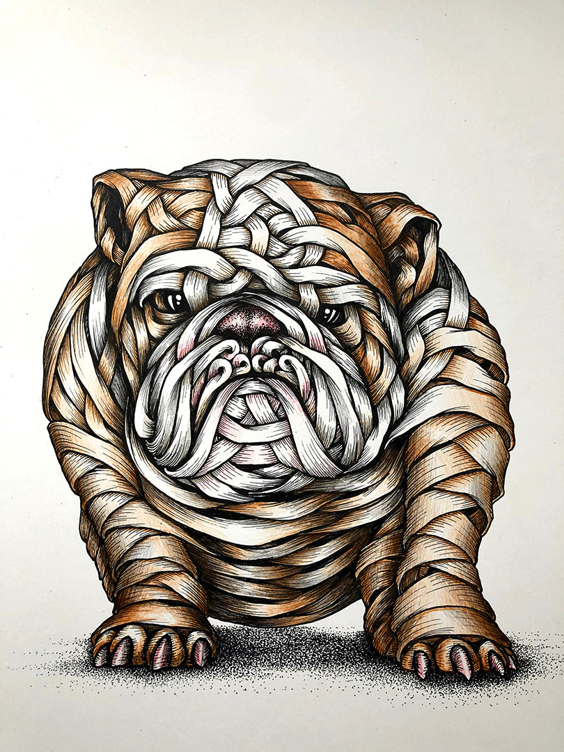 "Ribboned Bulldog" (2020)