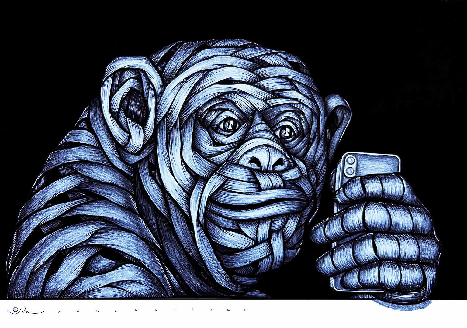 "Stop the Monkey" (2025)